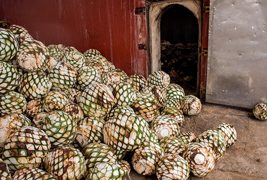 PRODUCCIÓN